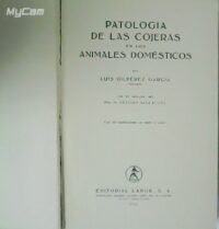 Patologías de las cojeras en los animales domésticos.